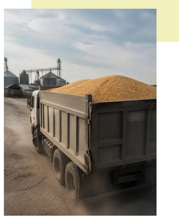 Перевозка сельхозпродукции навалом в Кисловодск по цене от 3208 р. | Агросервис-Ксл